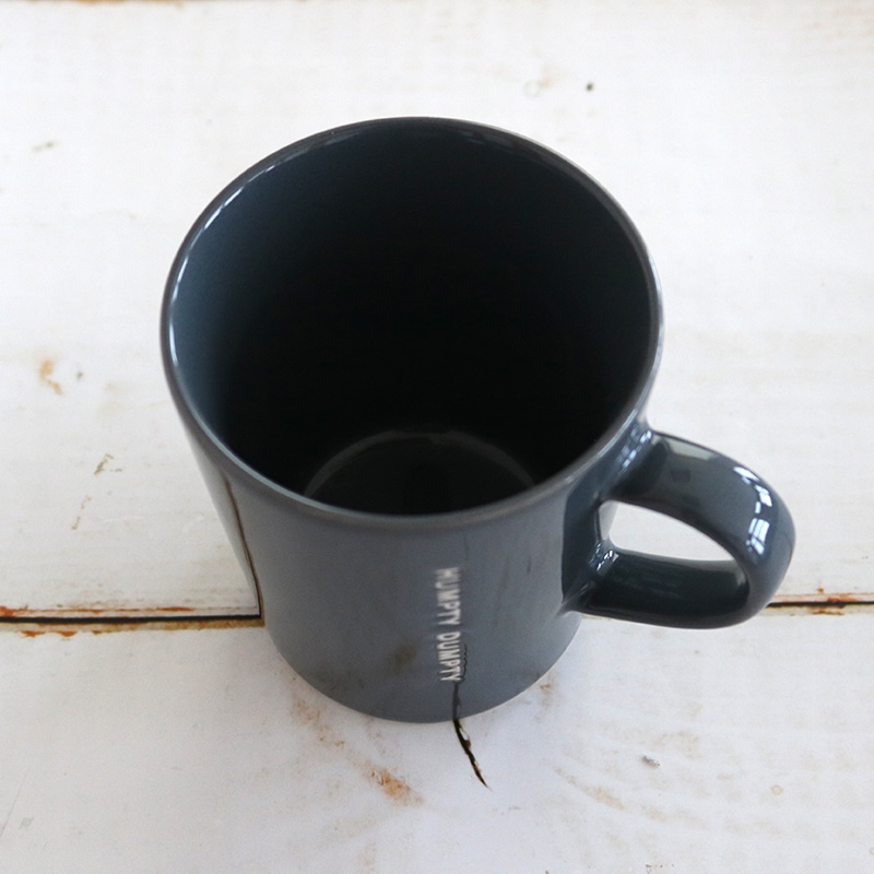 HD スプラッシュマグ3 GY