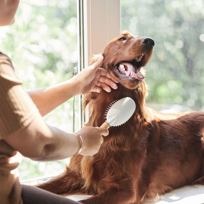 ペット用ダニ除け消臭スプレー PetVeil 250ml