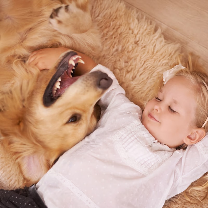 ペット用ダニ除け消臭スプレー PetVeil 250ml