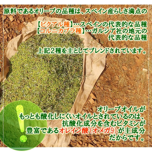 륷 ȥС ꡼֥룷ڥåȡߣ