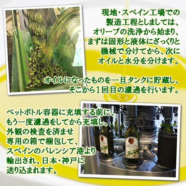 륷 ȥС ꡼֥룷ڥåȡߣ