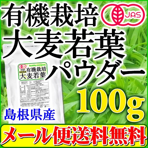  Ľ 纬ͭ եѥ100g ˥å ʴ 