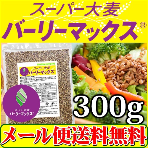 �С��꡼�ޥå��� 300g �����ѡ�����