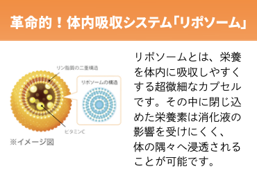【10%OFF!!】リポソームナノビタミンC 【LiponanoC】リポナノC 1000mg配合 30包