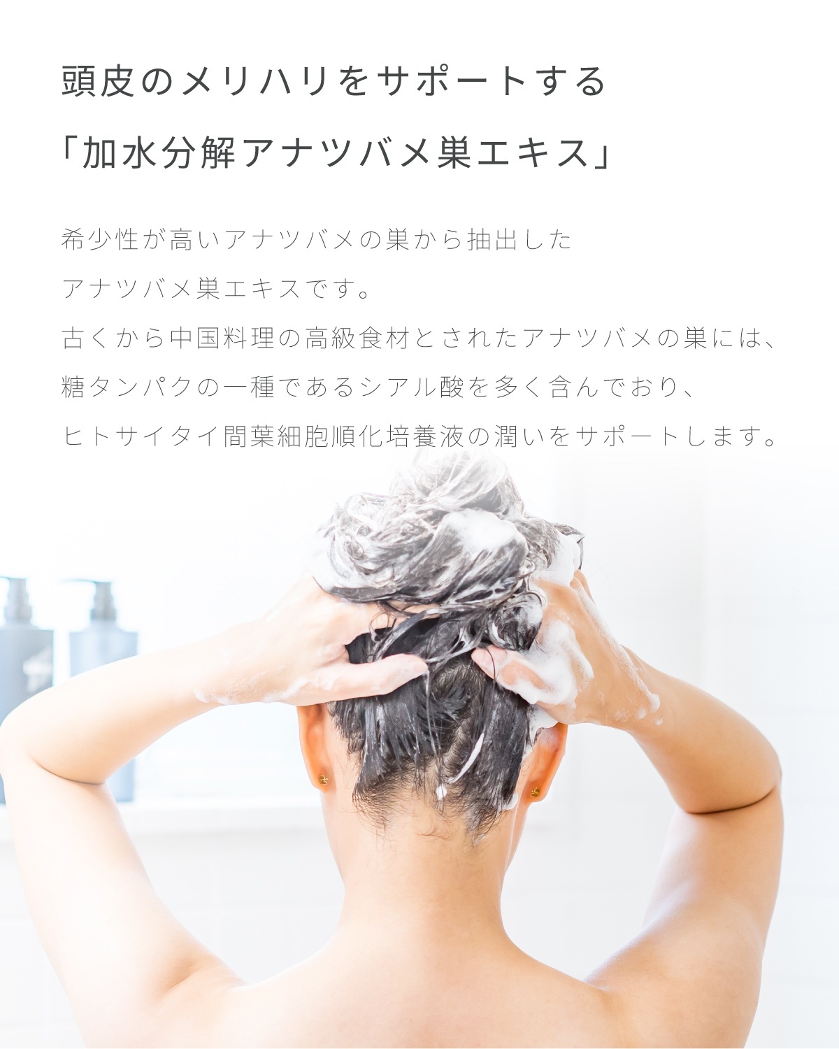 【正規品販売店】レカルカ Lekarka Vivorka モイスチャースムージング シャンプー・トリートメント 450mL