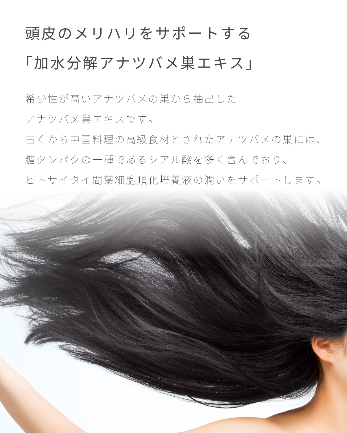 【正規品販売店】レカルカ Lekarka Vivorka モイスチャースムージング シャンプー・トリートメント 450mL