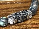 ��Silver925�۽Ť��դ��ǥ�����촶�⥢�åס����٤�7��MIXŷ���Х֥쥹��å�
