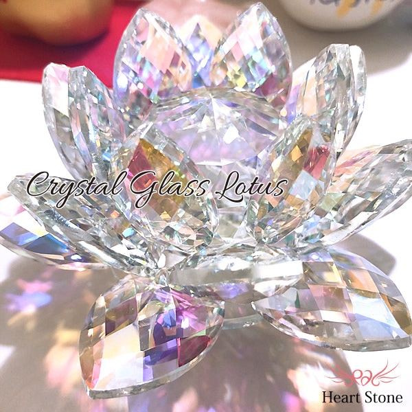 �����˵����������饯�ꥹ�����ϡ -lotus-����ƥꥢ����ʪ�ˡ����ꥹ���륬�饹 ���󥭥�å��㡼