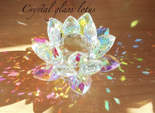 �����˵����������饯�ꥹ�����ϡ -lotus-����ƥꥢ����ʪ�ˡ����ꥹ���륬�饹 ���󥭥�å��㡼