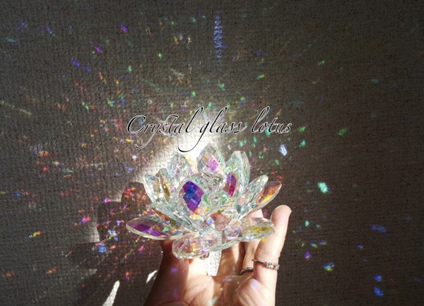 �����˵����������饯�ꥹ�����ϡ -lotus-����ƥꥢ����ʪ�ˡ����ꥹ���륬�饹 ���󥭥�å��㡼