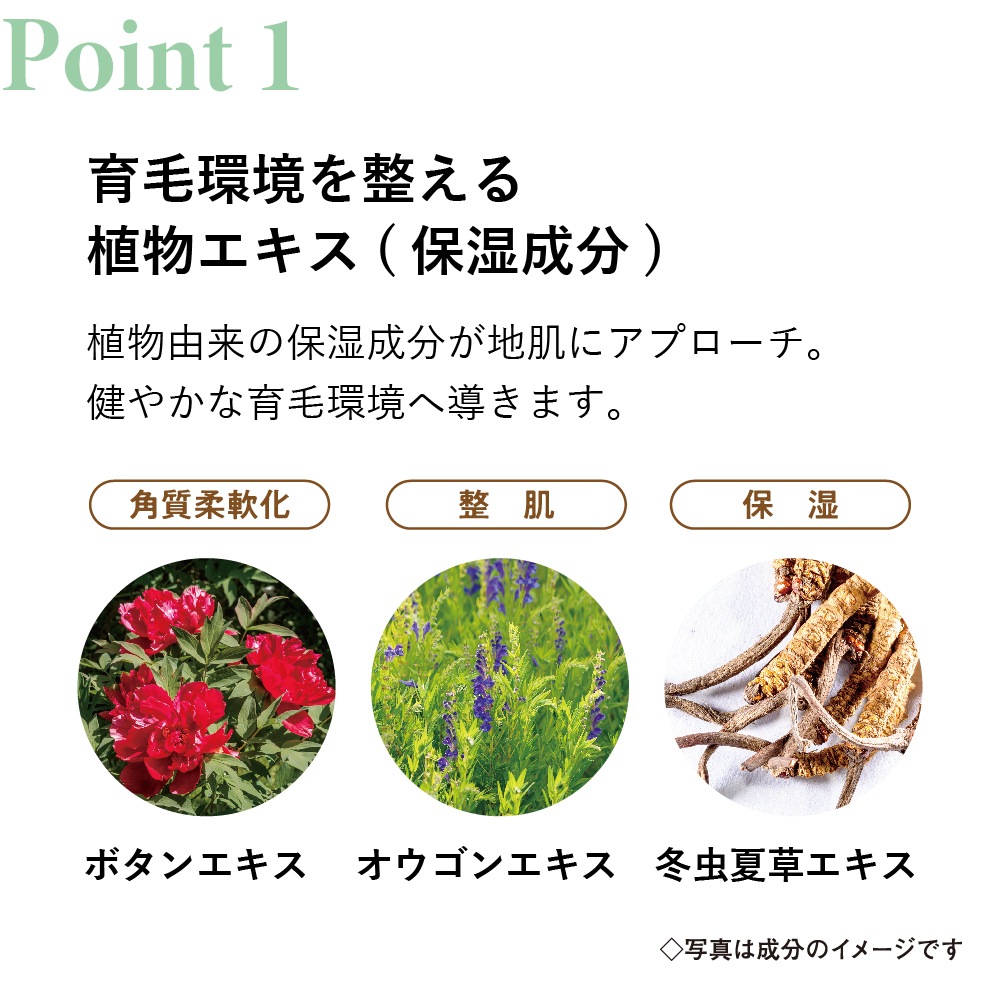ӳ踻