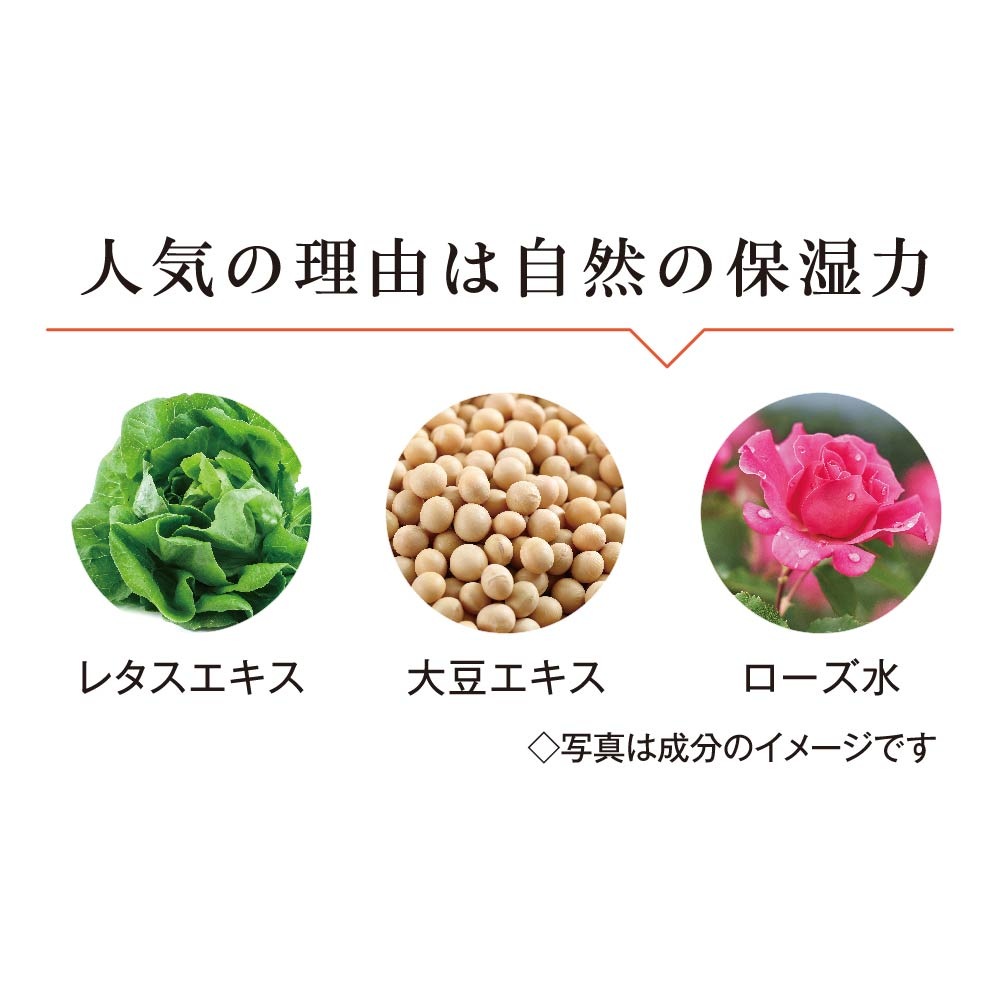 ʥ롡⥤ȥ