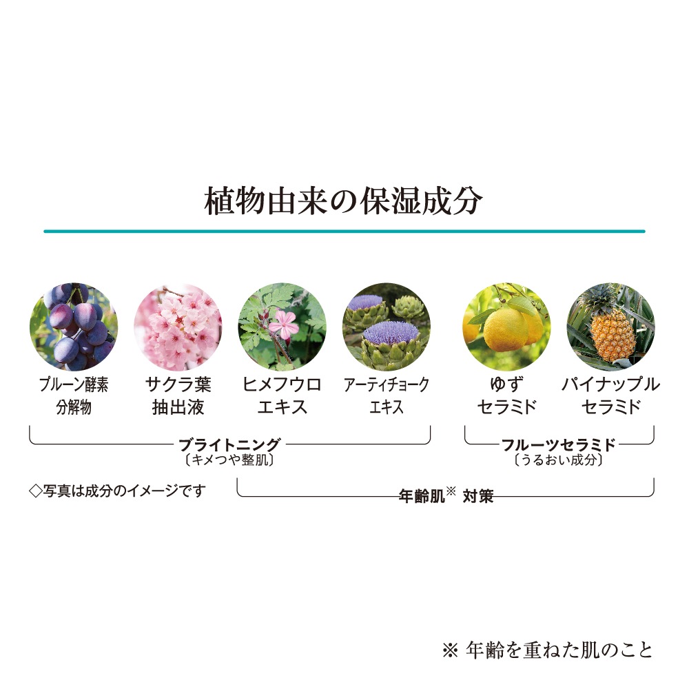 ѥۥ磻ȥ˥󥰥