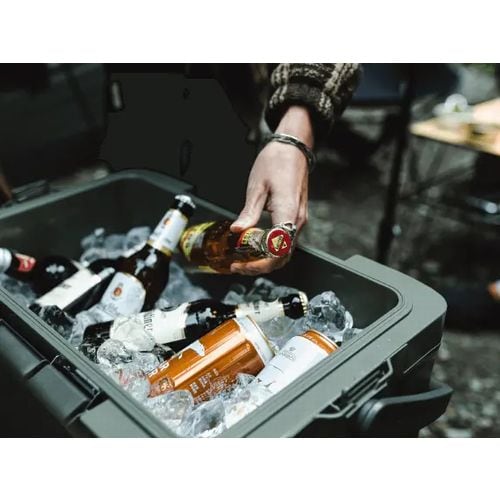 シマノ SHIMANO アイスボックス EL 30L ICEBOX EL 30L