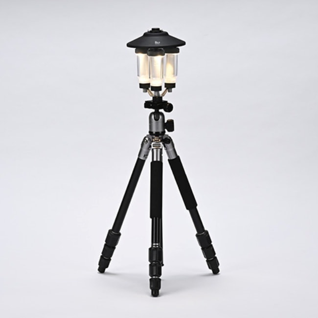 ゼインアーツ ZANEARTS ジグハウス | GLAGH グラフ