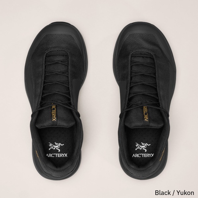 アークテリクス ARC'TERYX コペック ゴアテックス ウィメンズ KOPEC GTX Ws 防水 シューズ 登山 ハイキング 軽量 X000010028