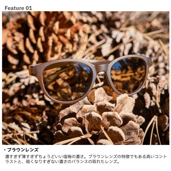 フロート FLOAT ミルブレー マットブラウン/ブラウン MILLBRAE MAT BROWN/BR レンズ単品