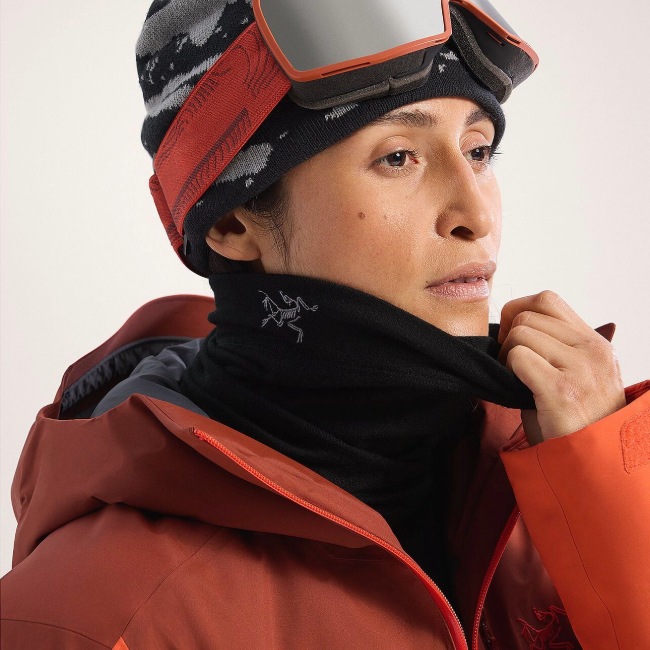 アークテリクス ARC'TERYX ローライトウェイトウールネックゲイター ユニセックス Rho Lightweight Wool Neck Gaiter