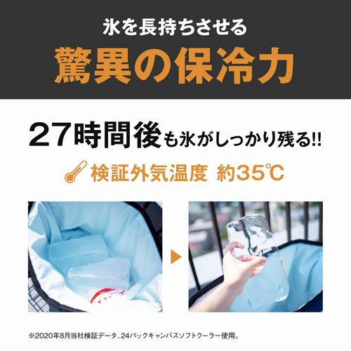 エーオークーラーズ AO Coolers 24パック キャンバス ソフトクーラー