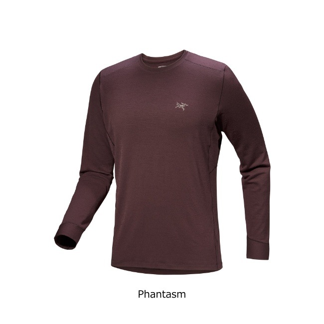 アークテリクス ARC'TERYX Rho メリノウール クルーネック LS メンズ Rho Merino Wool Crew Neck Ms