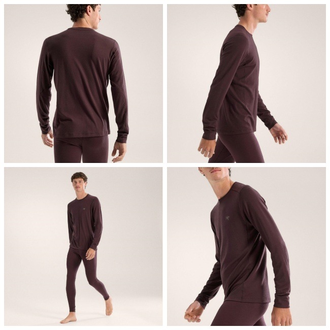 アークテリクス ARC'TERYX Rho メリノウール クルーネック LS メンズ Rho Merino Wool Crew Neck Ms