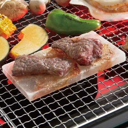 ロゴス LOGOS 岩塩プレート