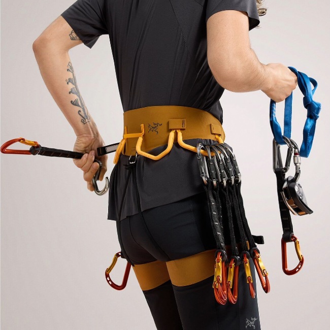 アークテリクス ARC'TERYX AR-385A ハーネス ウィメンズ | GLAGH グラフ