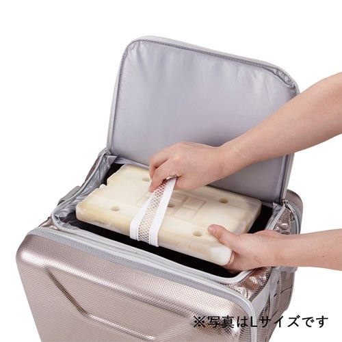 ロゴス LOGOS ハイパー氷点下クーラーM＋倍速凍結・氷点下パックM