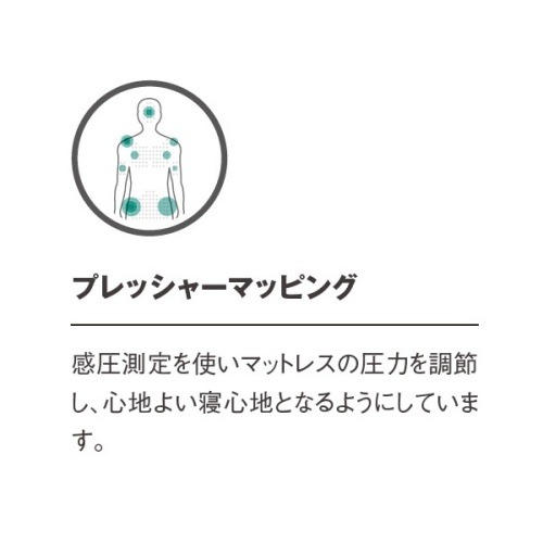 サーマレスト THERMAREST  ラグジュアリーマップ レギュラー