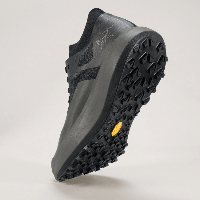 アークテリクス ARC'TERYX シラン メンズ【お一人様1点限り