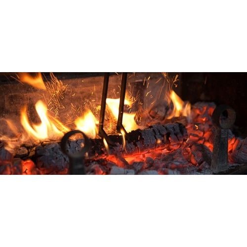 ファイヤーサイド FIRESIDE ファイヤーバード FIREBIRD | GLAGH グラフ