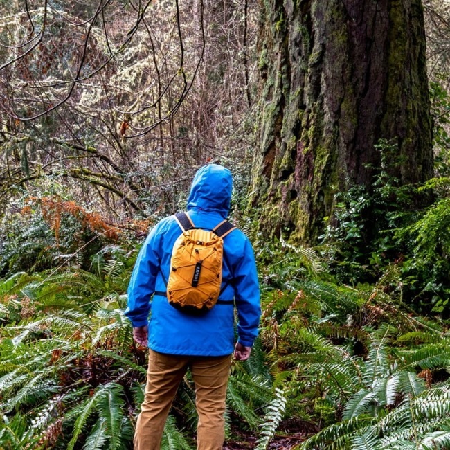 エクスペド EXPED クラウドバースト15 Cloudburst 15