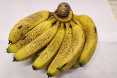 ��Ƿ�绺���ܥХʥʡ��󣳣�����Ƿ���̵�������ݤ������ܥХʥʤ򤴼���ˤ��Ϥ����ޤ����Фξ��֤Ǻ��񤷤ޤ�����͢����Υ���ƥ���β��٤αƶ��ǿ��Ť�����ã������礬����ޤ��������̡����²�ͤˤ����ᾦ�ʤǤ���