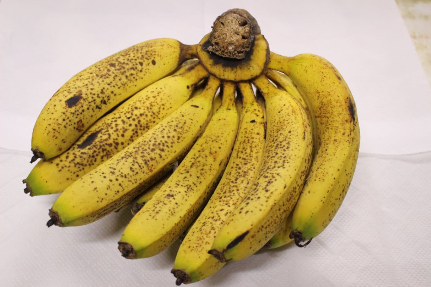 （お問い合わせ用）沖縄県産 三尺バナナ 非売品 三尺バナナ 約3kg 沖縄県産 国産バナナ : 沖縄市場たま青果