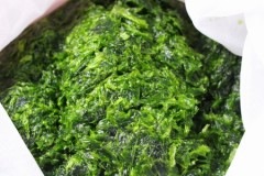 ��Ƿ�绺ŷ�������˥������ڣ�������ߣ����ޡۡ���Ƿ��ΰ��Ŧ���ŷ�������˥������򿿶��ѥå��ˤ��ƥ������ؤǤ��Ϥ����ޤ������������Ϥ�������¢�ϣ��������¸���Ƥ���������������¸����ǯ���Фξ��֤Ǥ����Ѥ��������ޤ��������̡�