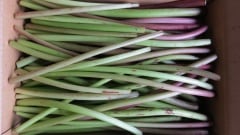 ��Ƿ�绺��ŷ���Ĥ�֤��������󣵣�����Ƿ��μ����ηäߤ������˺μ褷�Ƥ��Ϥ����ޤ����ﲹ��ȯ�����ޤ��Τǡ����������Ϥ����˳������Ʋ������������̡�