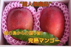 Ƿ绺ϥޥ󥴡λڣ󣱣ۣܤ飸ܤˤʸȯ档бϤǤμϤΤȯλϤǤޤ̡