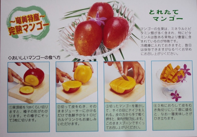 徳之島産完熟マンゴー 今期終了【2～4玉入 約1kg】7月中旬