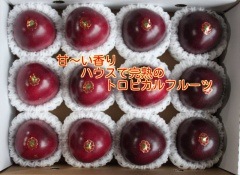 ��Ƿ�绺�ѥå����ե롼�ġ�������λ�ڣ��������ꡧ��Ȣ�ۣ���ܤ��飸����ܤˤ�������ʸ���ȯ���档��Ƿ��ν�Ƥ�̣�Ф��Ϥ����ޤ���£���ѤȤ��ơ���������ĥ�äƤ��뤴��ʬ�ؤΤ�˫���Ȥ��Ƥ��㤤��᤯�������������̡�