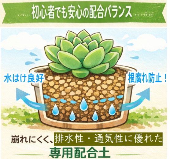 初心者も安心】サボテン・多肉植物の培養土 10L 根腐れ防止・室内栽培