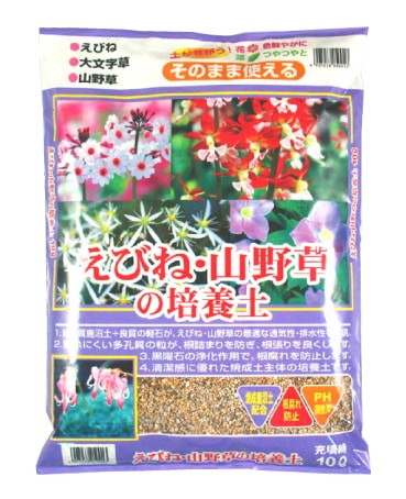 草エネ 基本草エネルギー(SVデザイン)【UR】{099/071}