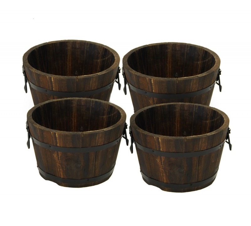 ƿץ󥿡ݷ硡4ĥåȡ