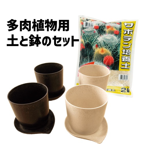 多肉植物用 鉢4個と土の特別セット！【送料無料!!】