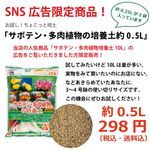 【SNS広告限定！】サボテン・多肉植物の培養土  約0.5L【送料無料】