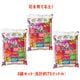 ������̵���ۤ��줤�ʡ��֤��Ƥ������ڡ�25L��3�ޥ��åȡʷ�75L��