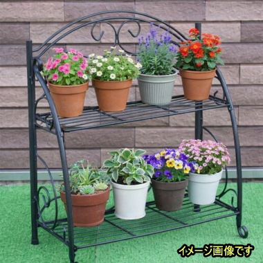 ������̵���ۥ������󥷥���ա�2��<br>PS02-R