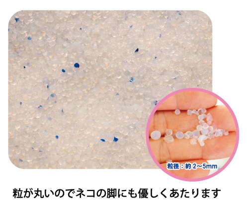 ������̵���ۥɥ饤��ǭ�����ɥ饤�ԡ�������L���ߡ֣����ޥ��åȡ�