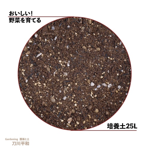 ������������ڤ��Ƥ������ڡ�25L