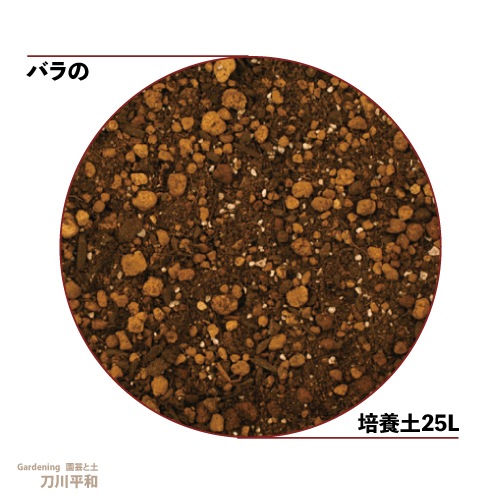 �Х�������ڡ�25L