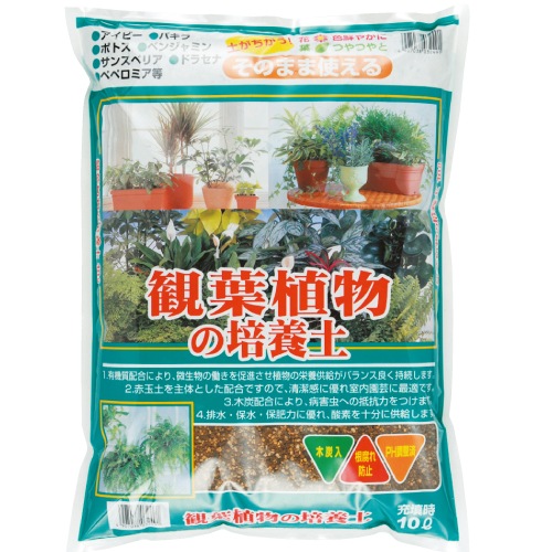 ���տ�ʪ�������ڡ���10L